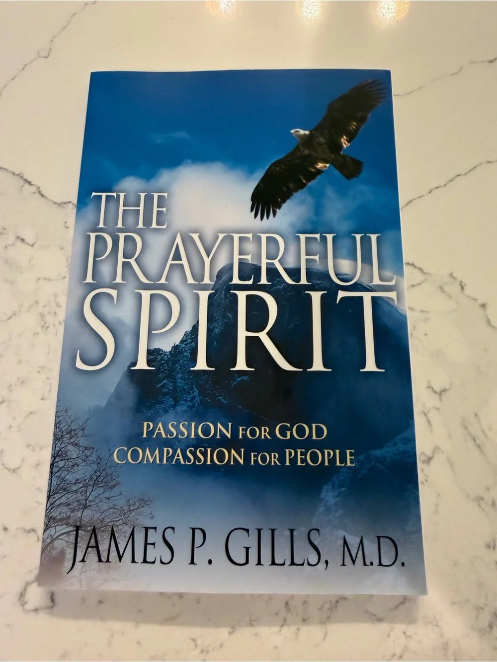 The powerful spirit paperback book James gill’s
